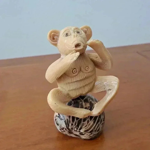 Monkey SITTING ON A STONE CALLING OUT - Picture 3 of 4